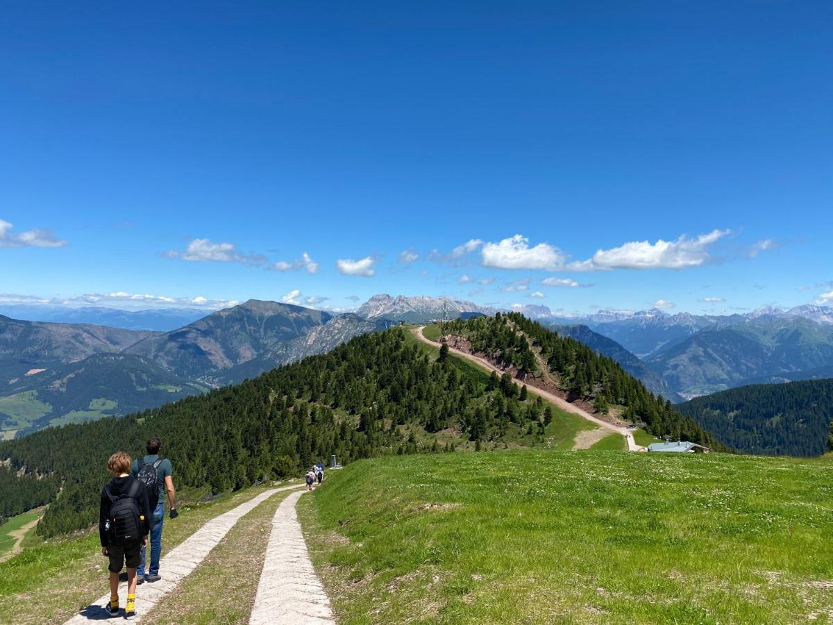 Dolomiti Terrace Cavaleseアパートメント エクステリア 写真