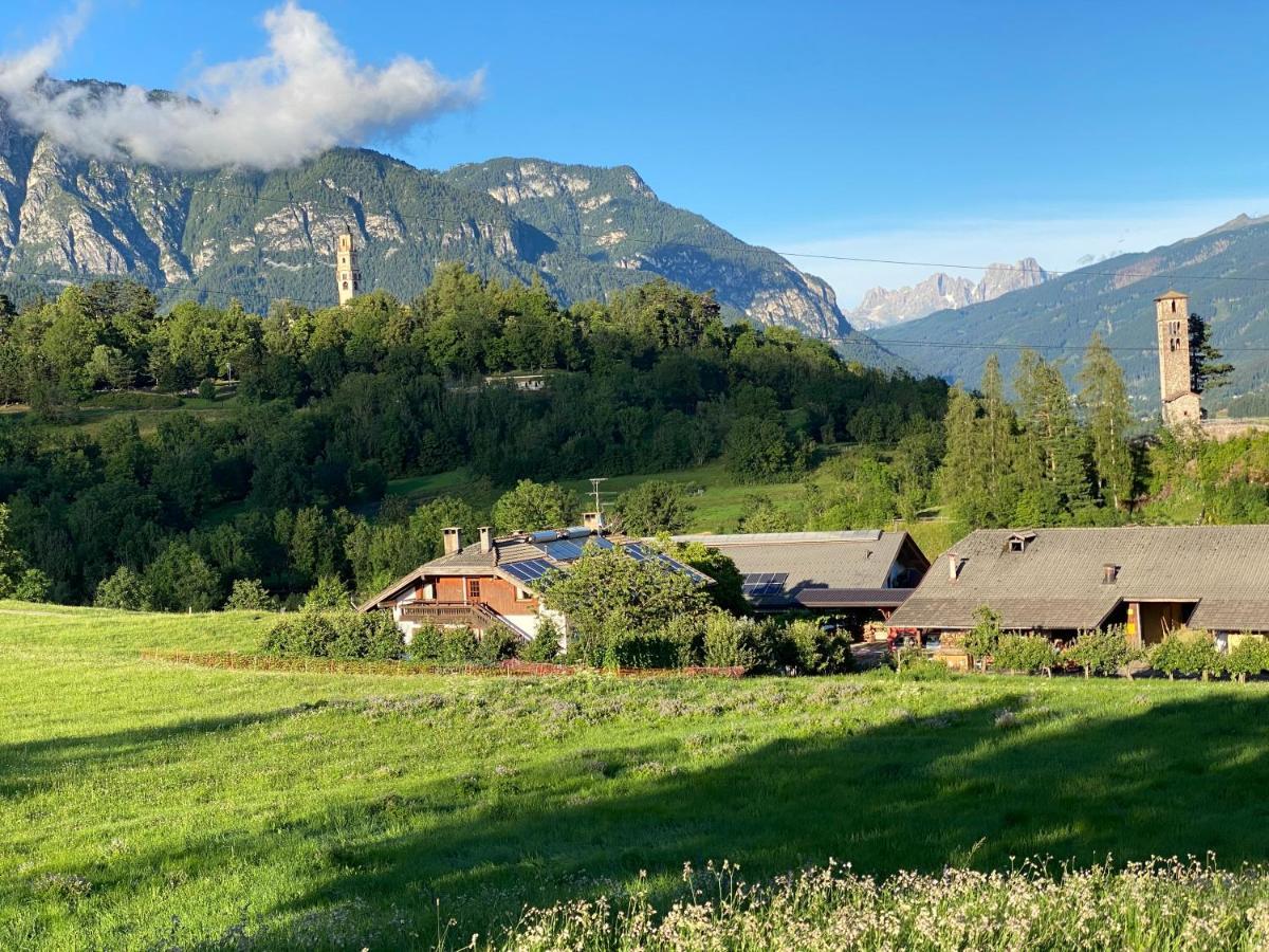 Dolomiti Terrace Cavaleseアパートメント エクステリア 写真